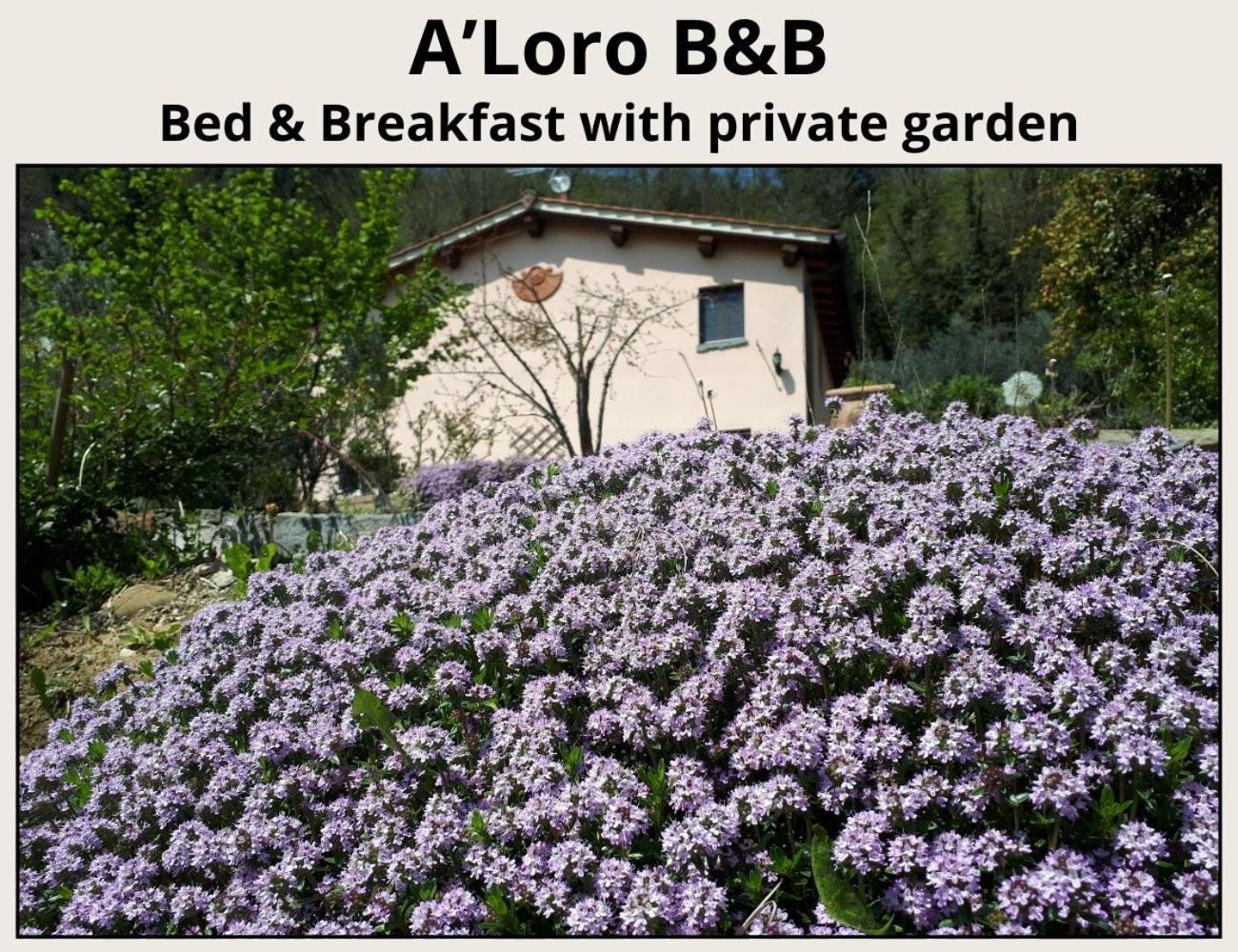 A'Loro B&B Терануова Брачолини Екстериор снимка