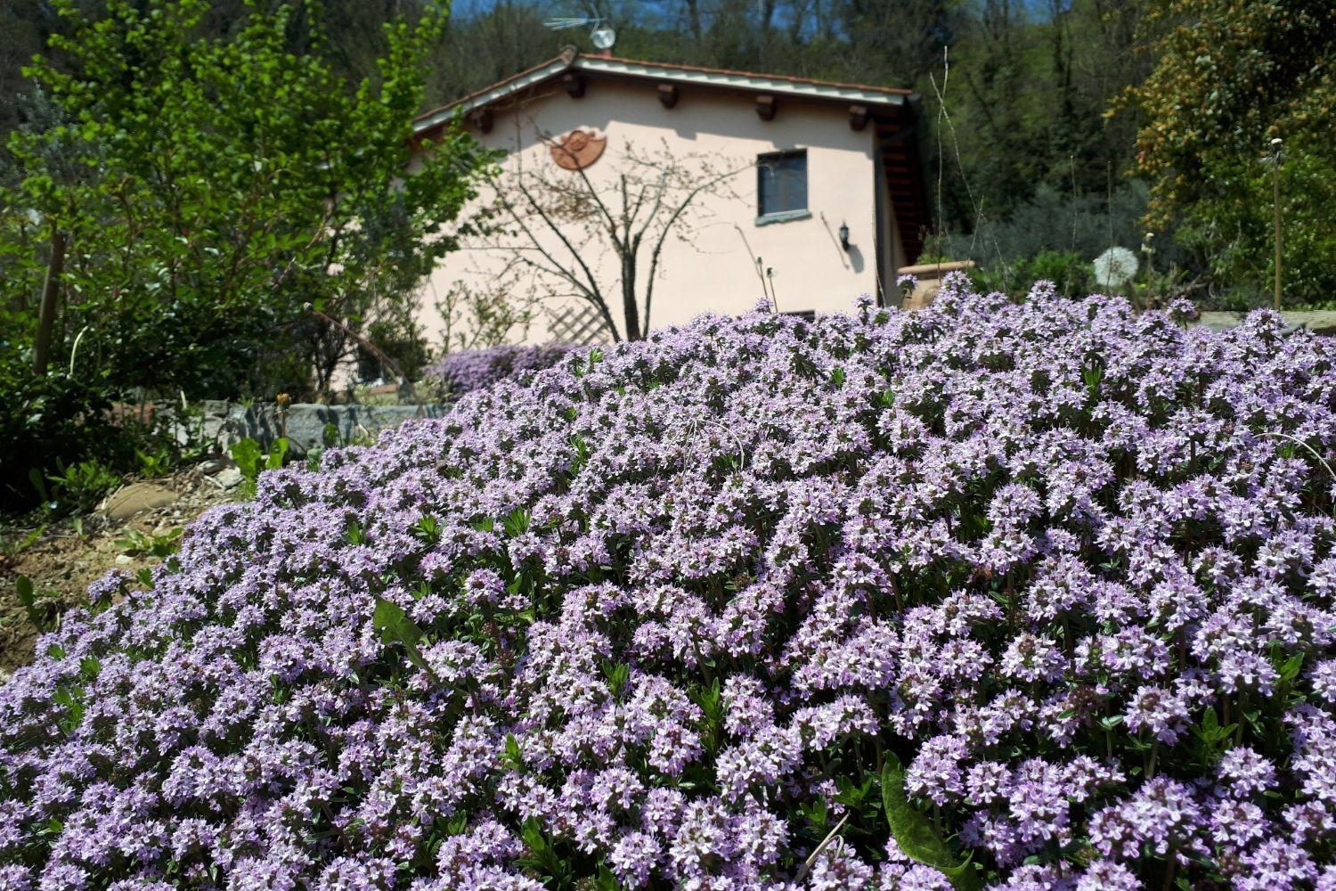 A'Loro B&B Терануова Брачолини Екстериор снимка